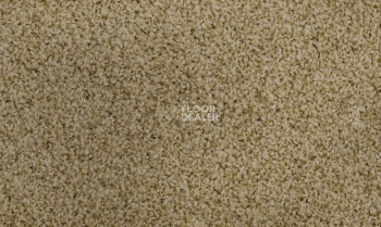 Ковролин Vorwerk Exclusive1009/Elara 8g82 фото 1 | FLOORDEALER